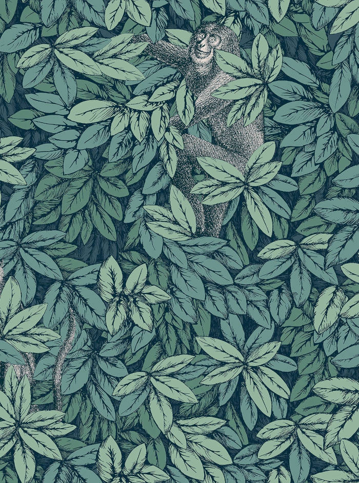 Cole_Son_Fornasetti_Senza_Tempo_II_Foglie_e_Scimmie_123_10046_RGB